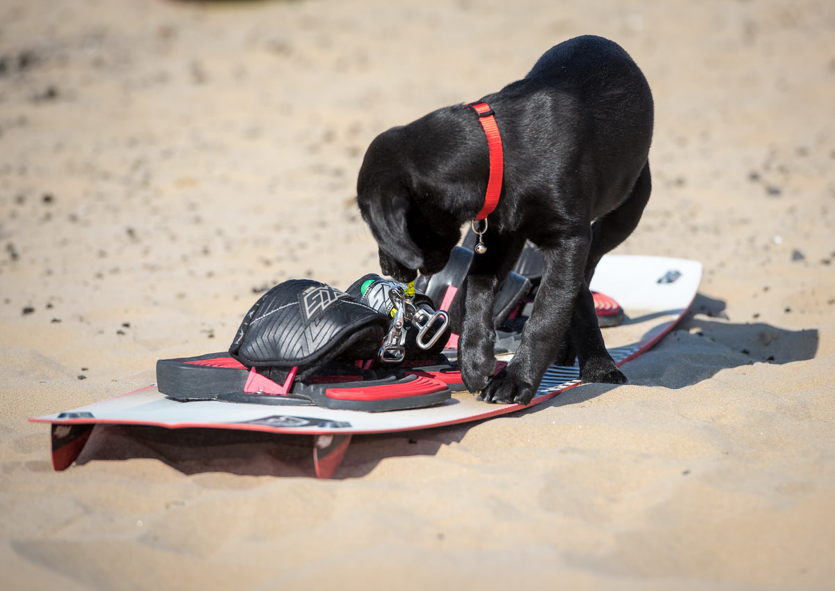 AXIS 2019 Traction+ Straps/Pads, Straps and Pads, - Live2Kite